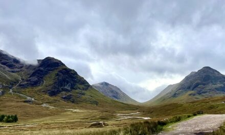 How Scotland Has Adapted Over the Last 12 Months: A Comprehensive Look at Its Growth and Transformation