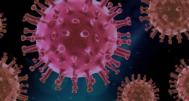 Norovirus Cases Surge to Record Highs in the UK and US