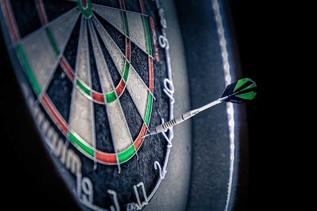 The Premier League Darts: A Showcase of the World’s Best Dart Players