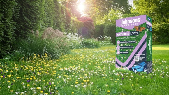 The year of rewilding and the importance of wildflower habitats in the garden
