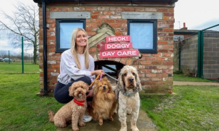 A DAY AT THE DOG SPA