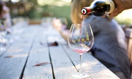 Expert Reveals the Italian Hack to Remove Wine Stains from Any Fabric—No Chemicals Needed!