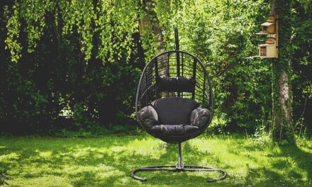 Aldi Launches Exciting 2025 Garden Range in the UK – Here’s What’s Coming