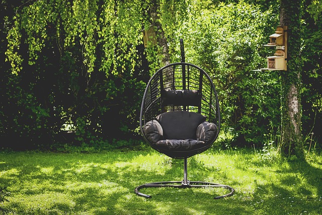 Aldi Launches Exciting 2025 Garden Range in the UK – Here’s What’s Coming