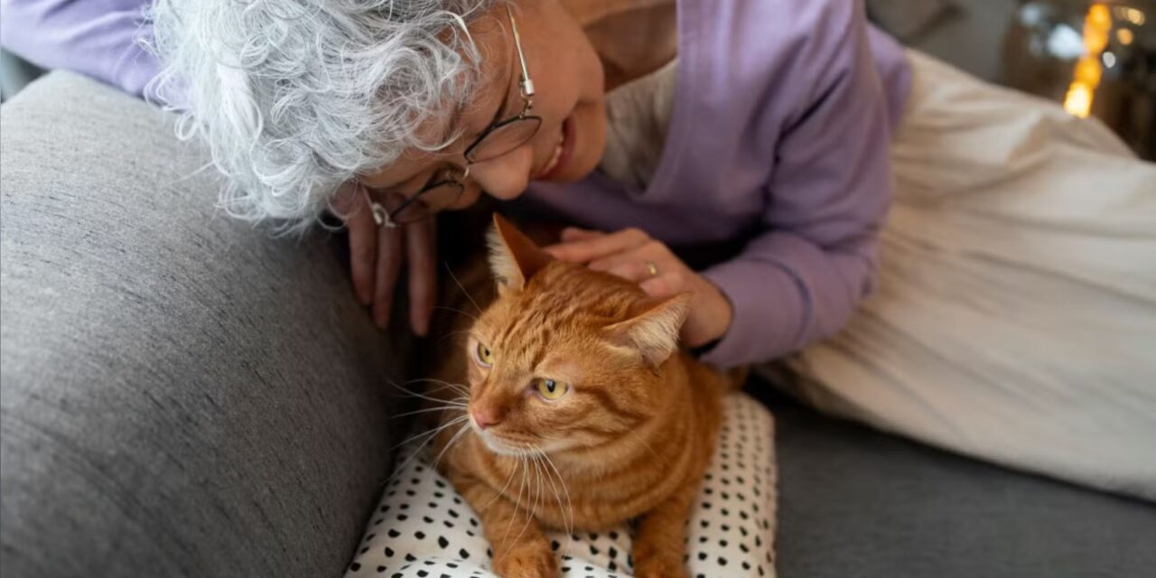 Vet vs Google: Pet owners turning to Google to diagnose pet health