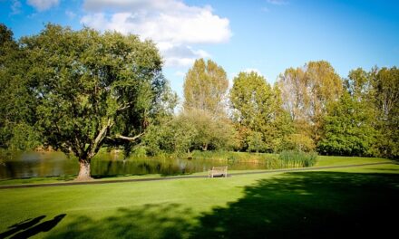 Surrey Named UK’s Number One Trump Hotspot