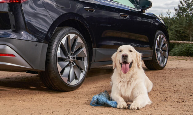 No bones about it – Škoda Enyaq named Best in Show for dog owners by Autotrader readers