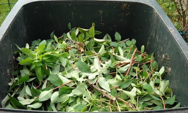 Free Tree Shelter Recycling across the UK