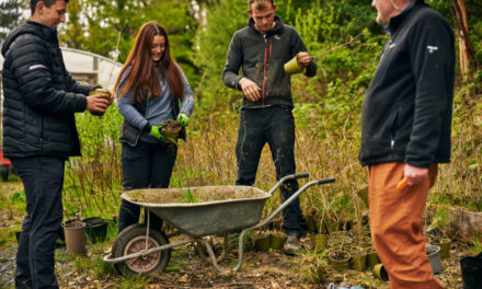 BMW UK and UK National Parks celebrate 3-year partnership delivering EV access and nature restoration across the UK