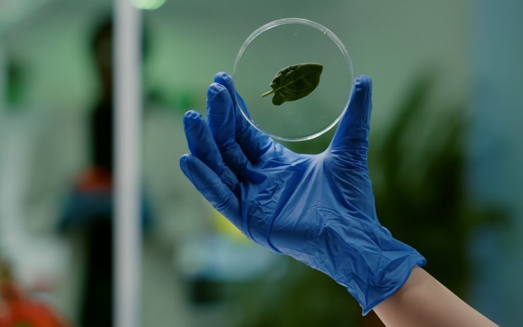 Smart Laboratory Practices in 2025