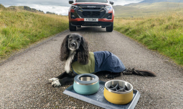 Isuzu launches curated range of Ruffwear dog accessories for D-Max