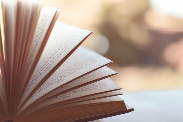 International Literacy Day 2025: Building a More Literate and Inclusive World