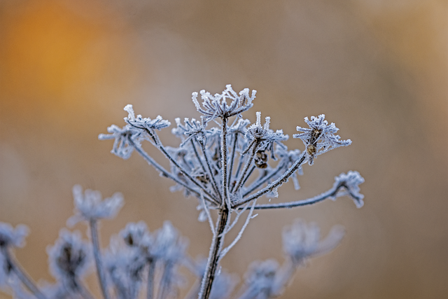 chilly weather photo