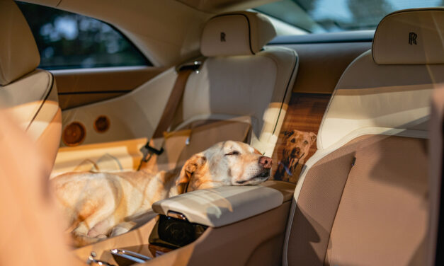 Rolls-Royce Spectre Bailey: a joyful tribute to a beloved dog
