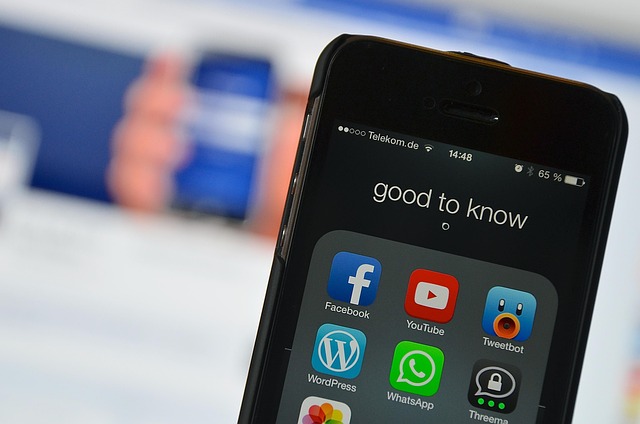 ‘Oversimplified’ social media ban for under 16s won’t protect children, expert warns
