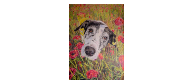 How Rescue Dog Inspired Artist