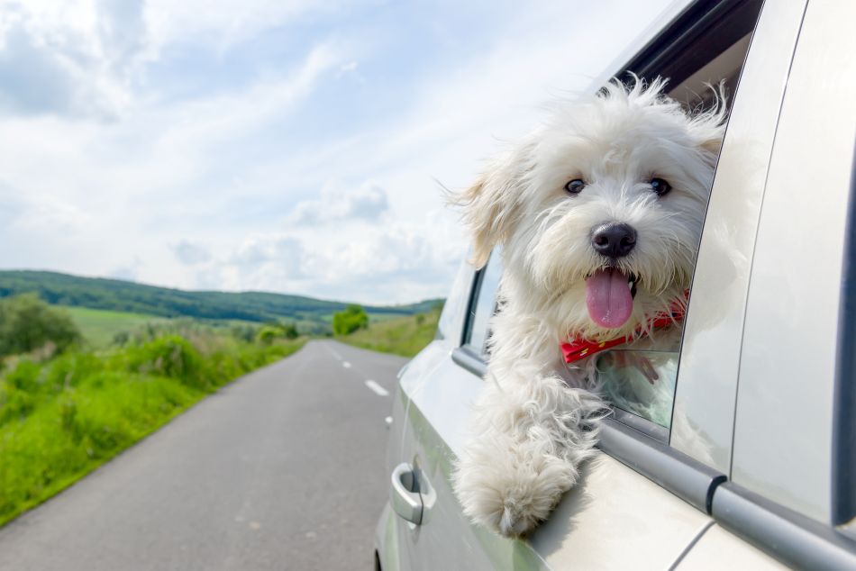 Four summer driving mistakes that could lead to fines and penalty points